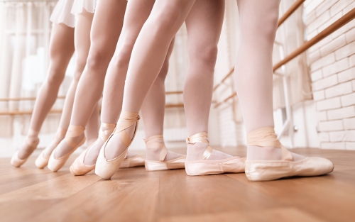 Il Progetto Didattico di danza Classica per le scuole