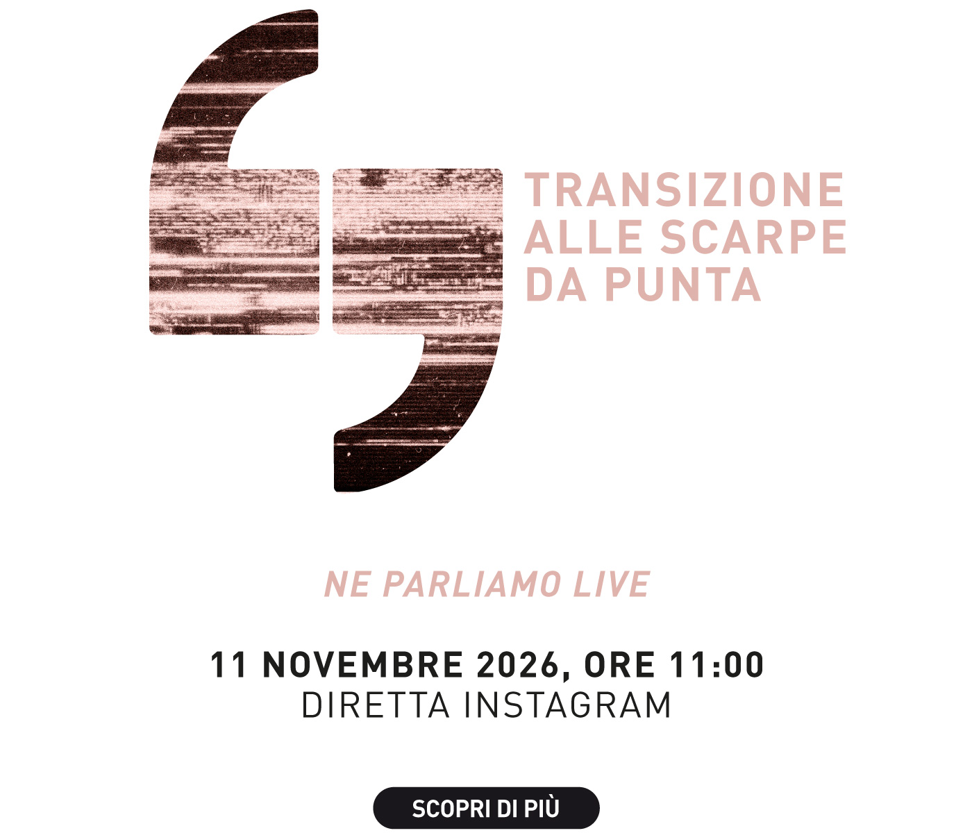 11 novembre