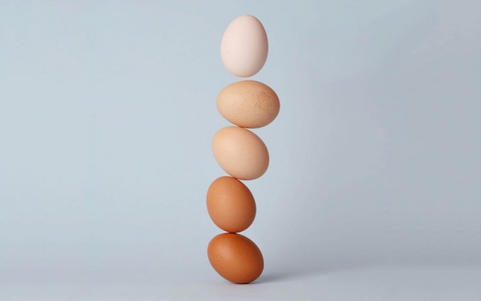 Nutrizione: come prepararsi al meglio per uno spettacolo